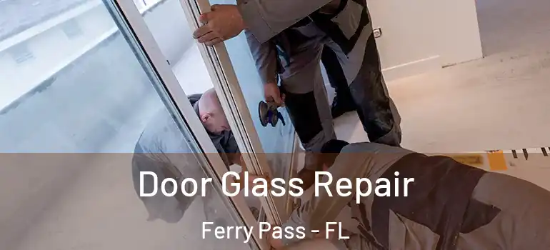 Door Glass Repair Ferry Pass - FL