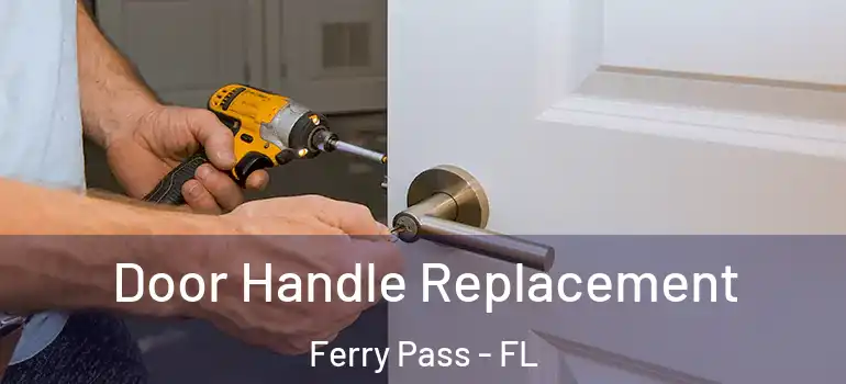 Door Handle Replacement Ferry Pass - FL