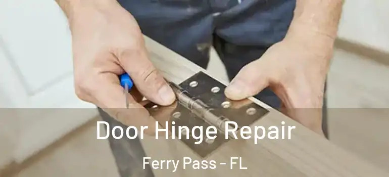 Door Hinge Repair Ferry Pass - FL