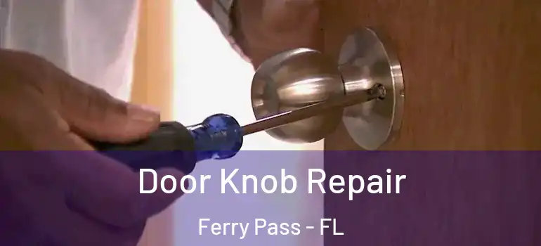 Door Knob Repair Ferry Pass - FL