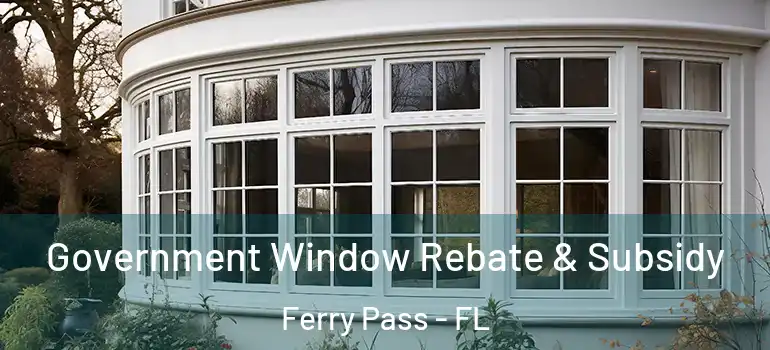 Government Window Rebate & Subsidy Ferry Pass - FL