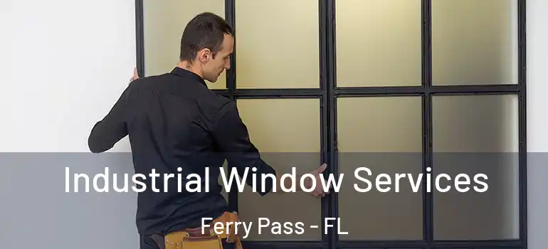 Industrial Window Services Ferry Pass - FL