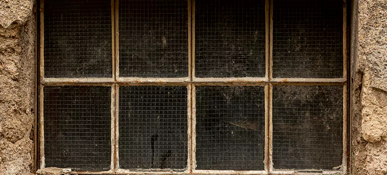 Traditional Double Front Doors in Ferry Pass, FL