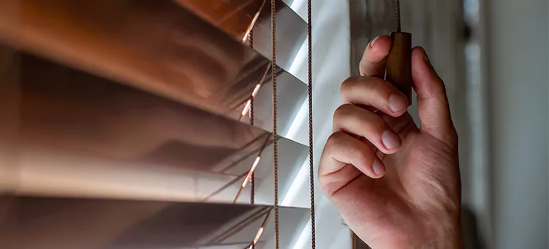 Double Roller Blinds in Ferry Pass, FL