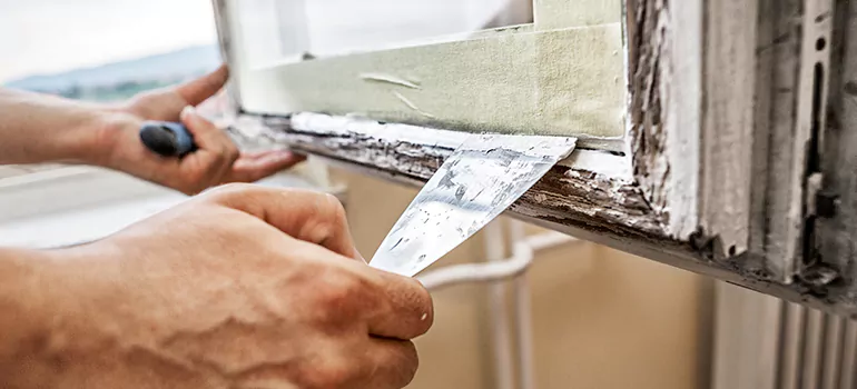 Exterior Window Frame Repair in Ferry Pass, FL