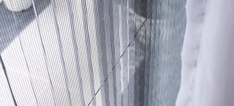 Fixing Screen Window Mesh in Ferry Pass, FL
