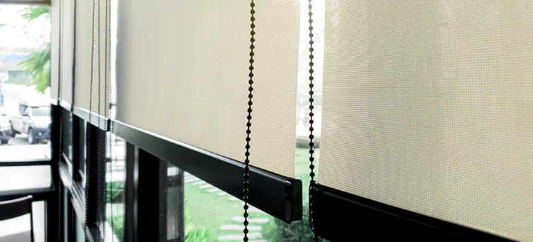 Blackout Window Shades in Ferry Pass, FL