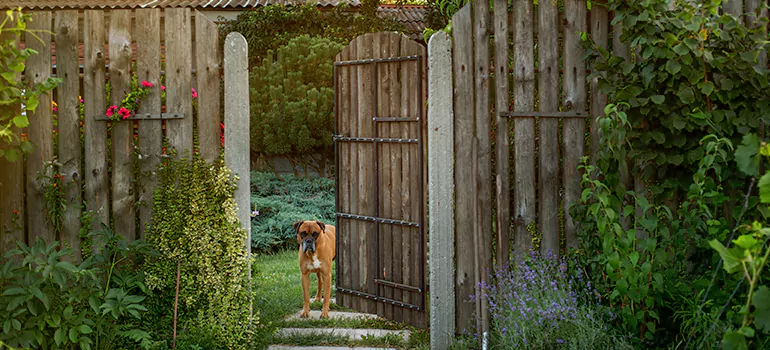 Winter Garden Garage Door Repair in Ferry Pass,[location field=state]