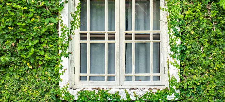 Garden Window Repair Near Me in Ferry Pass, FL