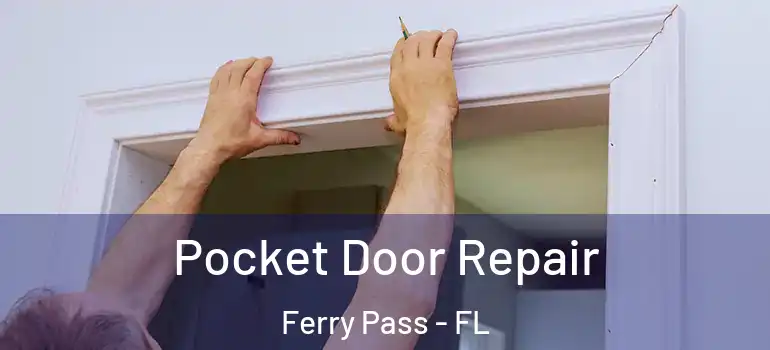 Pocket Door Repair Ferry Pass - FL
