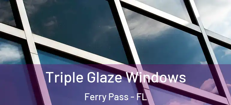Triple Glaze Windows Ferry Pass - FL