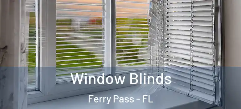 Window Blinds Ferry Pass - FL