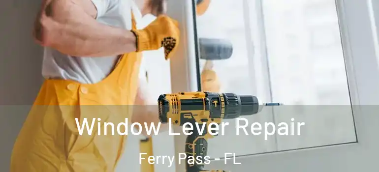 Window Lever Repair Ferry Pass - FL