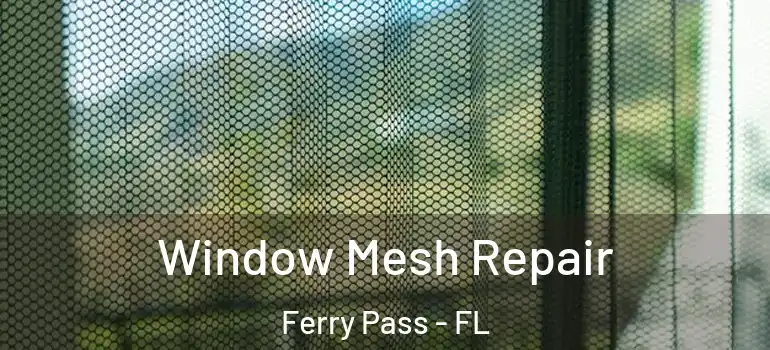 Window Mesh Repair Ferry Pass - FL