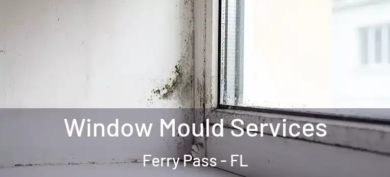 Window Mould Services Ferry Pass - FL