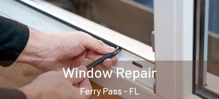 Window Repair Ferry Pass - FL